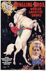 The Ringling Brothers Circus   Vintage Ad Poster  