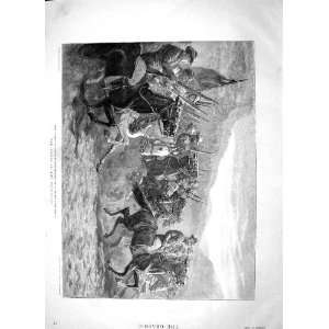  1896 Boer Cavalry Mounted Burghers Transvaal War