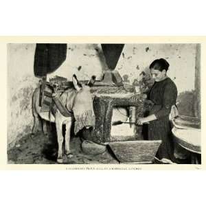  1923 Print Homemade Flour Mill Grinding Wheat Lava Rock 