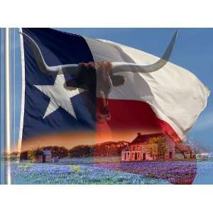  Texas Three Times   Digital Art Collage: Home & Kitchen
