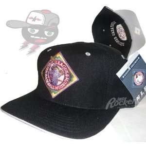  Negro Leagues Baseball Museum Snapback Cap Hat Sports 