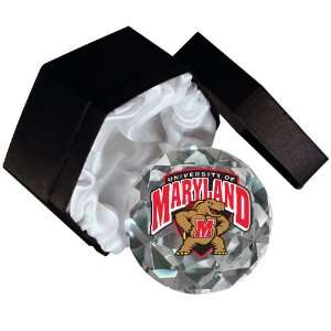  NCAA Maryland Terrapins Mascot Logo 4 Inch High Brillance 