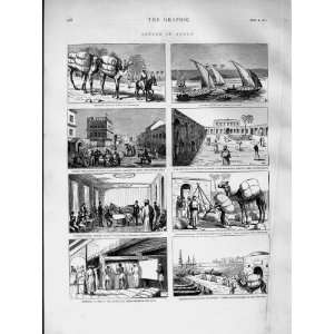   1873 Cotton Egypt Camel Nile Minet Basel Shuna Boats