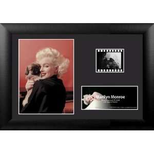   Setters Ltd Marilyn Monroe S3 MGC Minicell Film Cell