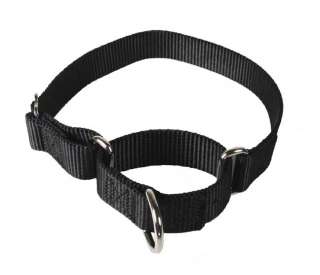 Martingale Heavyduty Nylon Dog Collar  