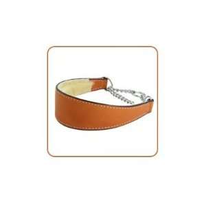  Tan Leather Martingale Dog Collars 16 Kitchen & Dining