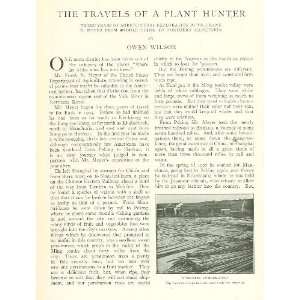  1909 Plant Hunter Frank N Meyer China Manchuria 