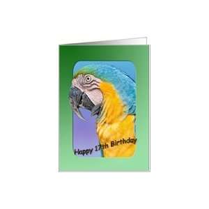  17th Birthday Card with Macaw Bird Card: Toys & Games