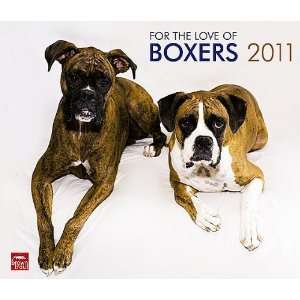  For the Love of Boxers 2011 Deluxe Wall Calendar Office 