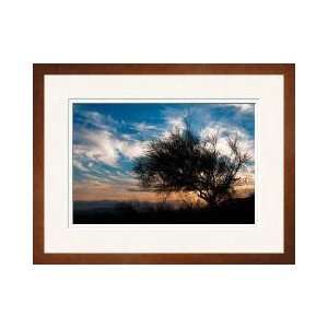  Sunset In Joshua Tree I Framed Giclee Print