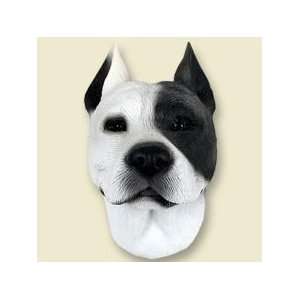  Pit Bull Terrier White Doogie Head: Everything Else