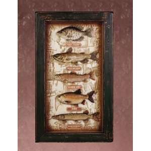  Freshwater Fish Shadow Box