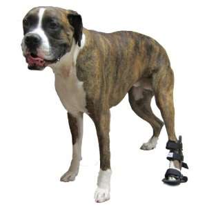  Walkin Wheels Rear Leg Dog Splint Size: Medium: Pet 