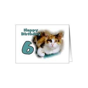 Happy 6th Birthday, Calico Cat Card: Toys & Games