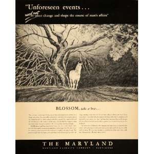  1938 Ad Maryland Casualty Horse Blossom Harry Rudolph 