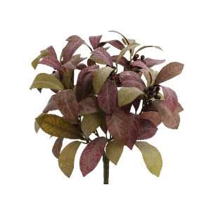  16 Laurel Leaf Bush x6 w/72 Lvs. Burgundy Green (Pack of 