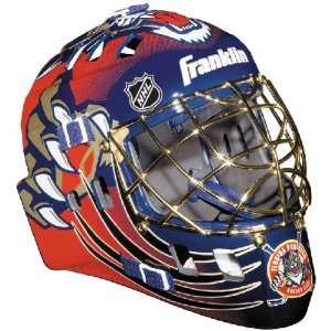  Florida Panthers SX Pro 1000 Team Series Goalie Mask 