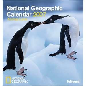  National Geographic Animal Love 2007 Calendar 