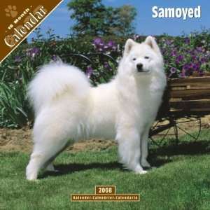  2008 Samoyed 2008 16 Month Wall Calendar **IN STOCK NOW 