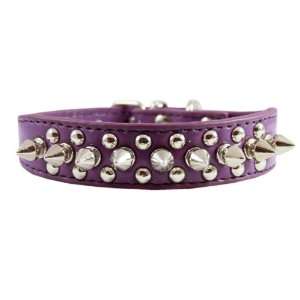   Dog Collar 7/8 Wide for Small/X Small Breeds and Puppies: Pet