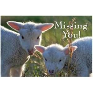 com We Miss You Child (Package of 25) (lambs) show sincere love 