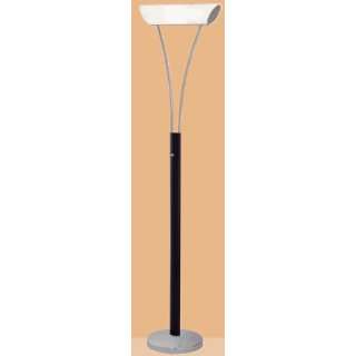  EGLO LIGHTING   88166A ONDIA 1   INDOOR FLOOR LAMP 