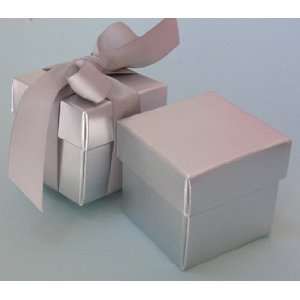  Silver Favor Boxes With Ribbon   Set of 10: Health 