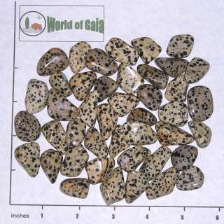 DAMATIAN JASPER, medium tumbled, 1/2 lb bulk stones  