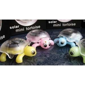   solar power tortoise toy kid solar toys mini solar toys: Toys & Games