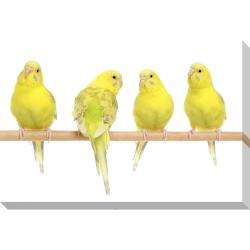 Yellow Budgie Birds Oversized Gallery Wrapped Canvas  Overstock