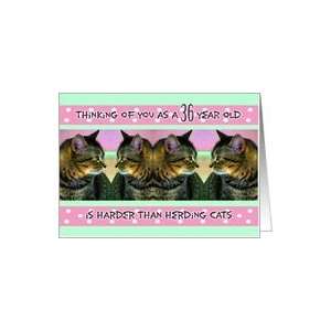  Birthday, 36, Funny, Her, Herding Cats Card: Toys & Games