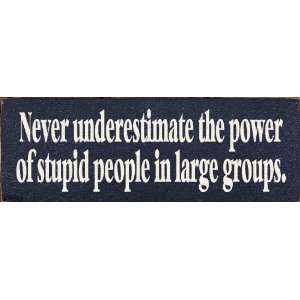 Never underestimate the power of stupid people in large 