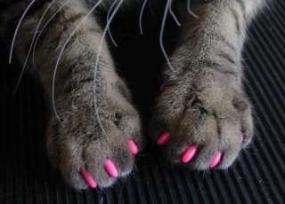 New 20pcs Soft Cat Pet Nail Caps Claw Control Paws off + Adhesive Glue 