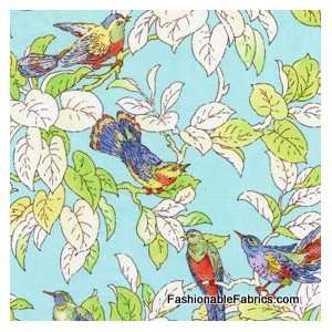   Bird Chat in breeze by Michael Miller Fabrics Arts, Crafts & Sewing