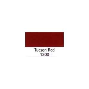  BENJAMIN MOORE PAINT COLOR SAMPLE Tucson Red 1300 SIZE2 