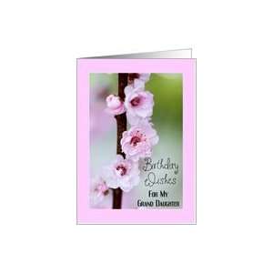   Wishes for Grand Daughter   Cherry Blossoms Card Toys & Games