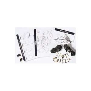 Classroom Owl Pellet Kit  Industrial & Scientific