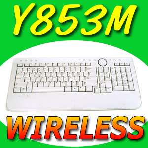 Dell Multimedia Slim White Keyboard Y RBP DEL4 Y853M  