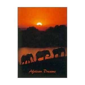   Wildlife Posters: African Dreams   Elephants   86x61cm: Home & Kitchen