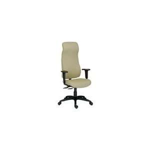   Executive Ergonomic Task Office Chair, ADI Seating: Office Products