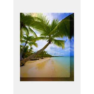high definition canvas art 74007 palm tree beach dominican republic