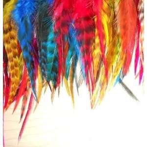  100 Colorful Grizzly Feather Hair Extensions: Beauty