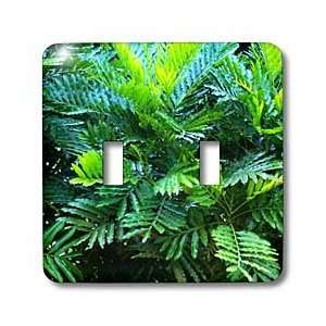 Florene Plants   Luscious Ferns   Light Switch Covers   double toggle 