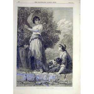  1870 Mulberry Leaves Gathering Topham Ladies Child