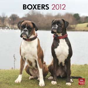  Boxers (International) 2012 Wall Calendar 12 X 12 