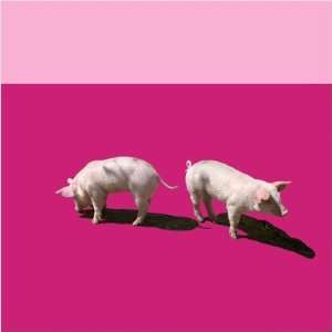   Animals Piglets Limited Edition Wall Art Panel in Pink: Home & Kitchen