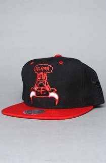 Hall Of Fame The Chicago Bulls Upsidedown Snapback Hat in Black 