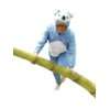 Koala Bär Mann Kostüm Koalabärkostüm Fasching Karneval Kostüme 