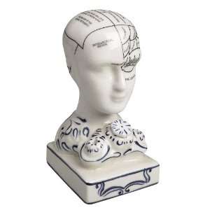Geschenke Bürodeco Modell vom Gehirn  Phrenologie Darstellung 