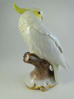 Antique Porcelain Cockatoo Bird Statue Figurine Rosenthal Artist 